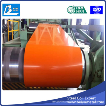 Prepainted Cold Rolled Steel Coil